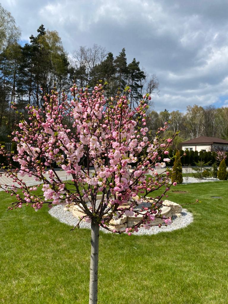 01b7c5c1-bbc4-44c2-87d0-4d52b4ca466f 01b7c5c1-bbc4-44c2-87d0-4d52b4ca466f